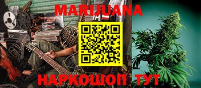 индика Лесосибирск