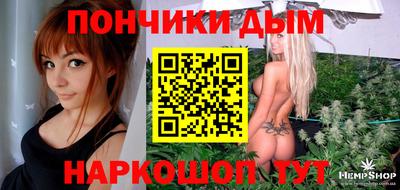индика Лесосибирск