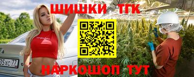 индика Лесосибирск