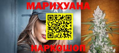 индика Лесосибирск