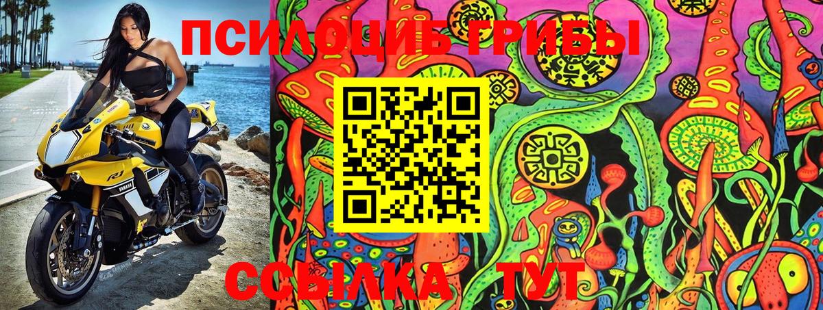 Галлюциногенные грибы ЛСД  Вход с VPN  Псилоцибиновые грибы Magic Shrooms  Новокуйбышевск 